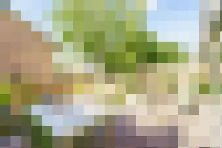Nieuwlandsedreef 31 Amersfoort thumbnail 11