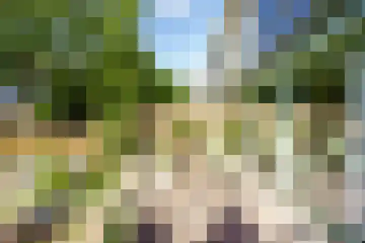 Nieuwlandsedreef 31 Amersfoort thumbnail 12