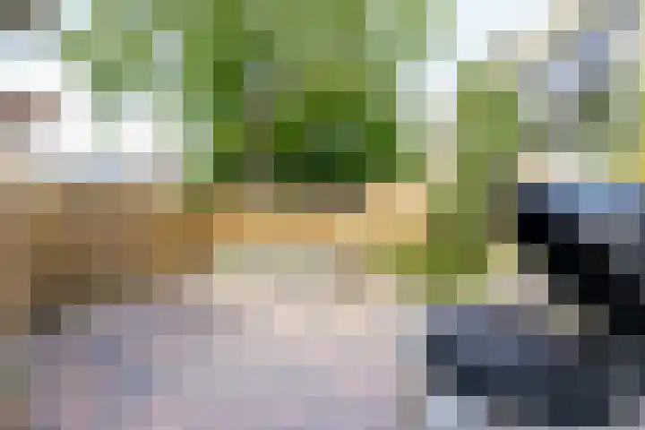Nieuwlandsedreef 31 Amersfoort thumbnail 13