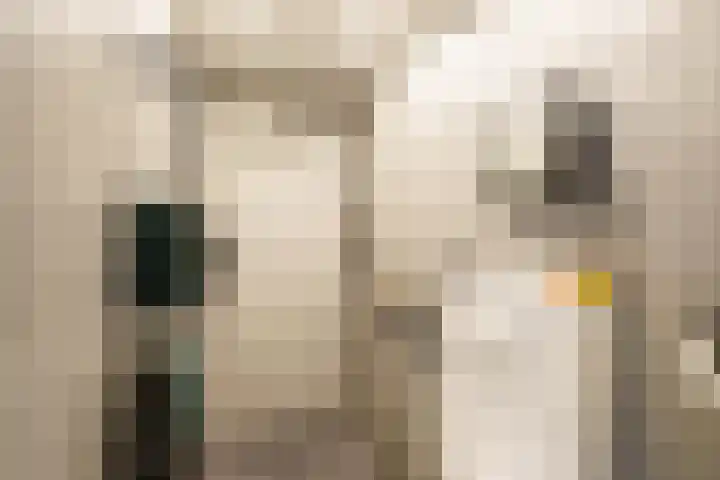 Nieuwlandsedreef 31 Amersfoort thumbnail 17