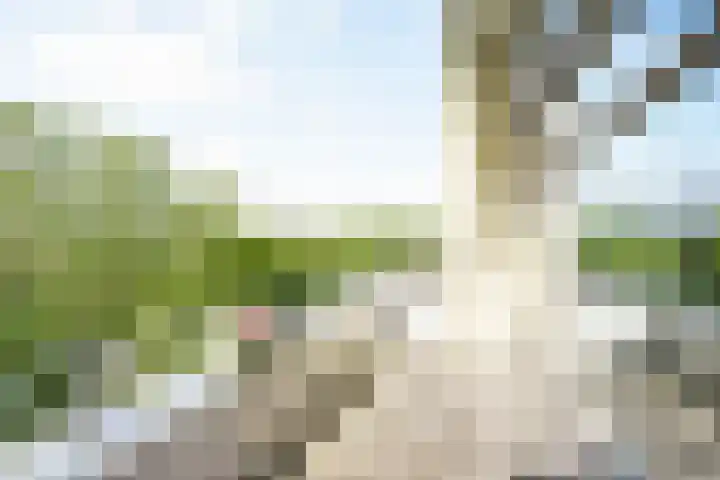 Nieuwlandsedreef 31 Amersfoort thumbnail 23