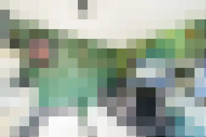 Nieuwlandsedreef 31 Amersfoort thumbnail 24