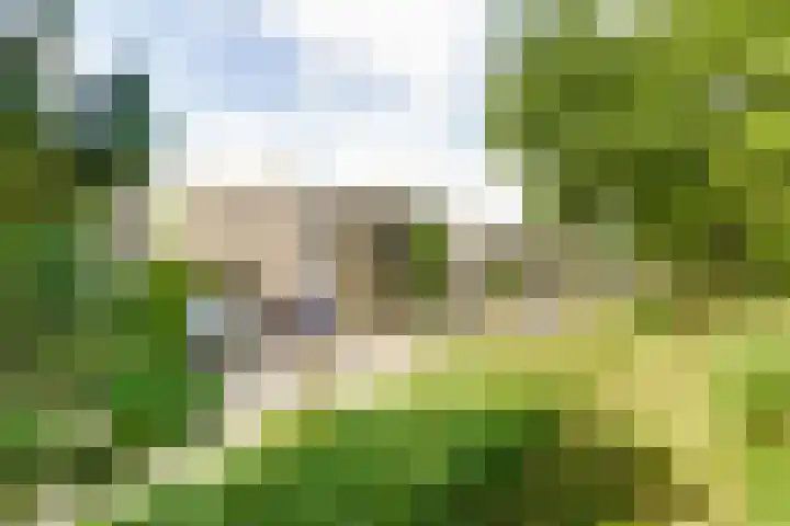 Nieuwlandsedreef 31 Amersfoort thumbnail 27