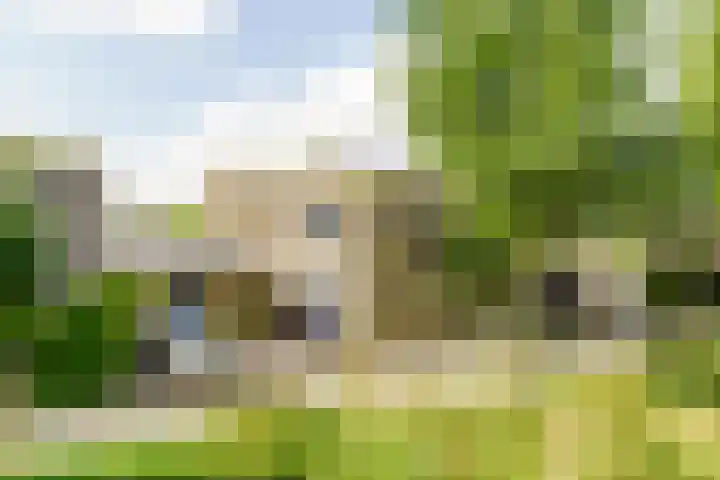 Nieuwlandsedreef 31 Amersfoort thumbnail 28