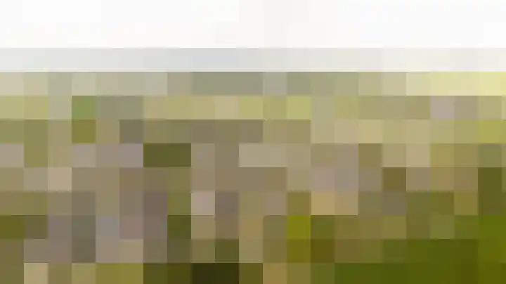 Nieuwlandsedreef 31 Amersfoort thumbnail 30