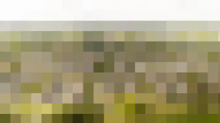 Nieuwlandsedreef 31 Amersfoort thumbnail 31