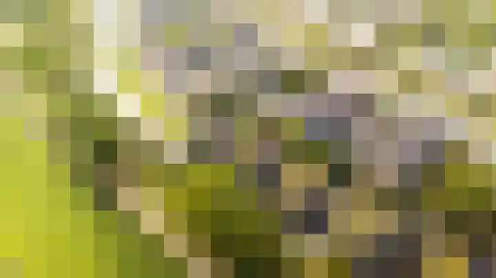 Nieuwlandsedreef 31 Amersfoort thumbnail 33