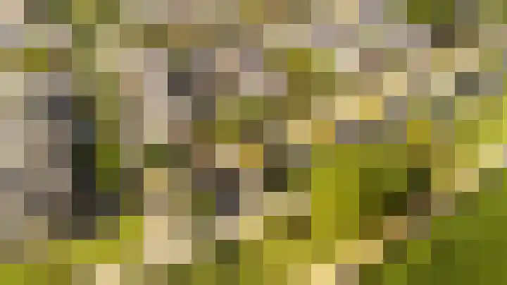 Nieuwlandsedreef 31 Amersfoort thumbnail 34