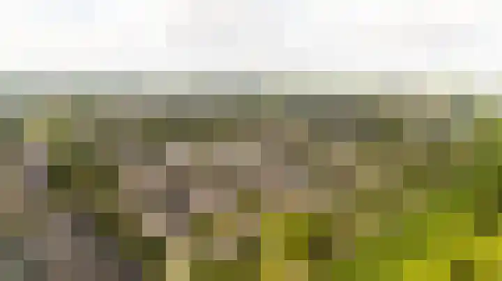 Nieuwlandsedreef 31 Amersfoort thumbnail 35