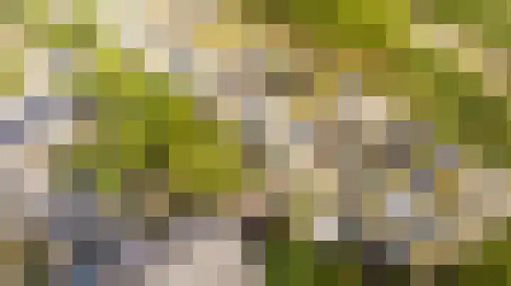 Nieuwlandsedreef 31 Amersfoort thumbnail 36