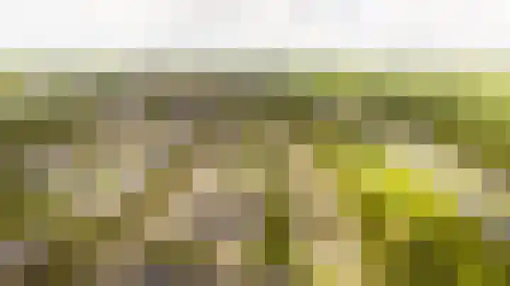 Nieuwlandsedreef 31 Amersfoort thumbnail 37
