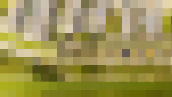 Nieuwlandsedreef 31 Amersfoort thumbnail 38