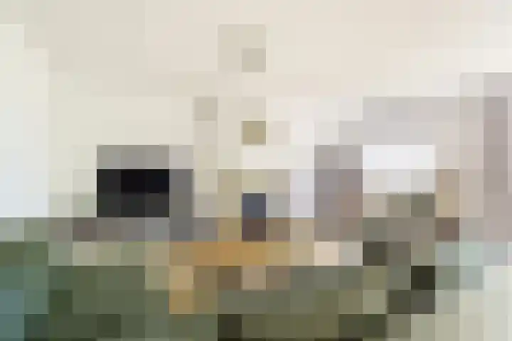 Nieuwlandsedreef 31 Amersfoort thumbnail 5