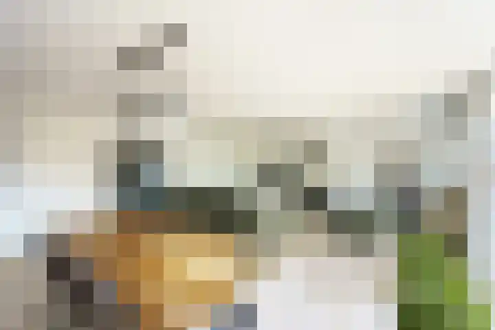 Nieuwlandsedreef 31 Amersfoort thumbnail 7