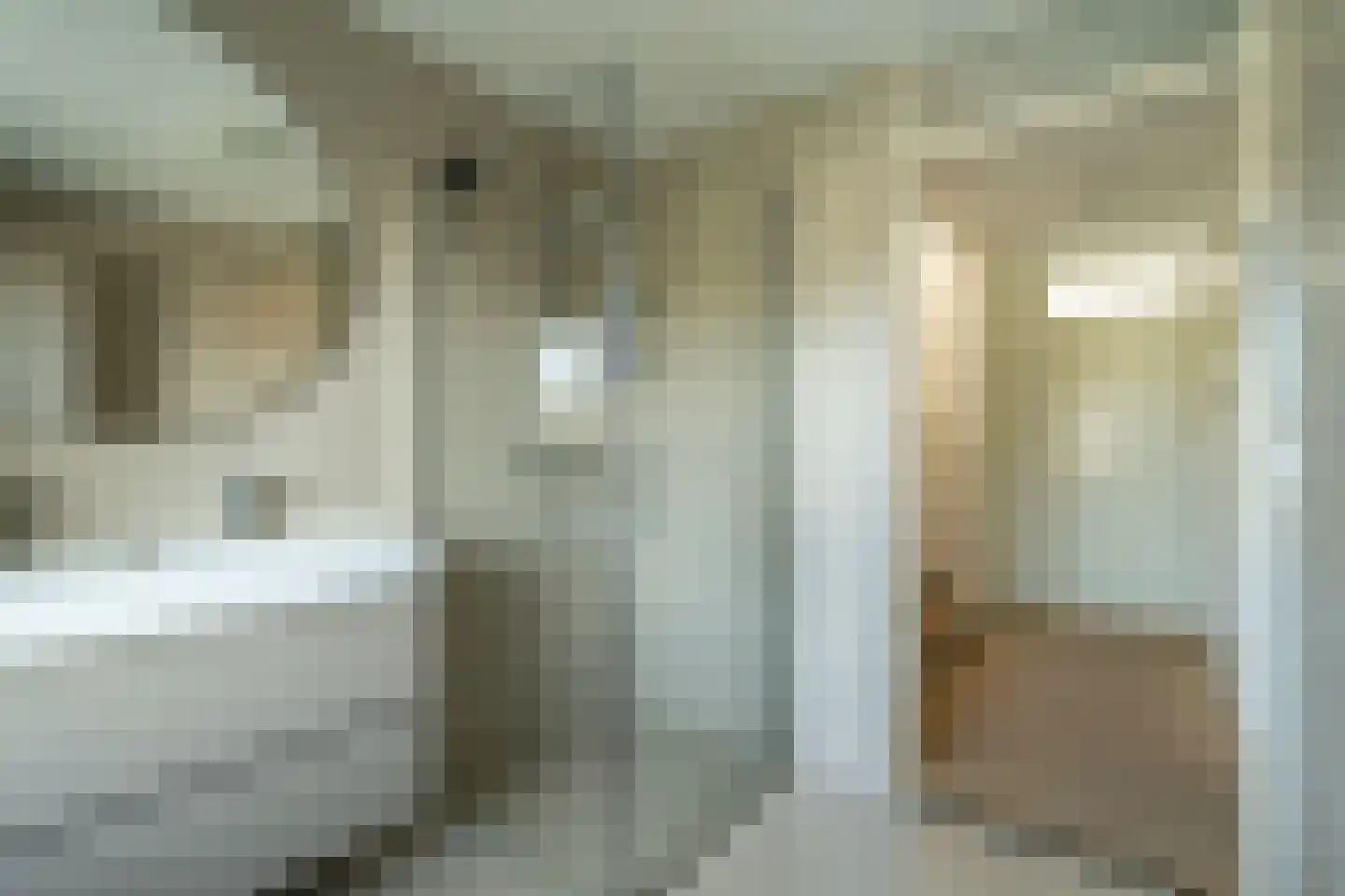 Nieuwlandsedreef 4 Amersfoort thumbnail 19