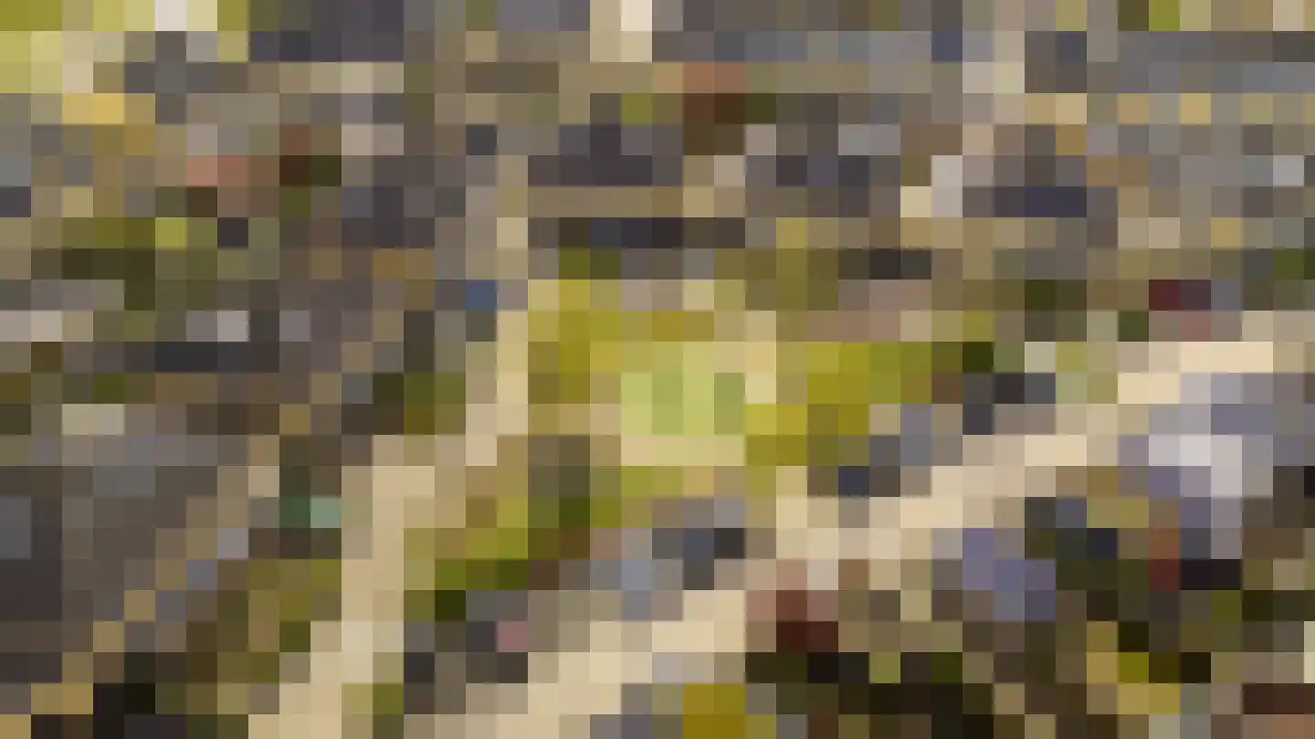 Nieuwlandsedreef 4 Amersfoort thumbnail 32