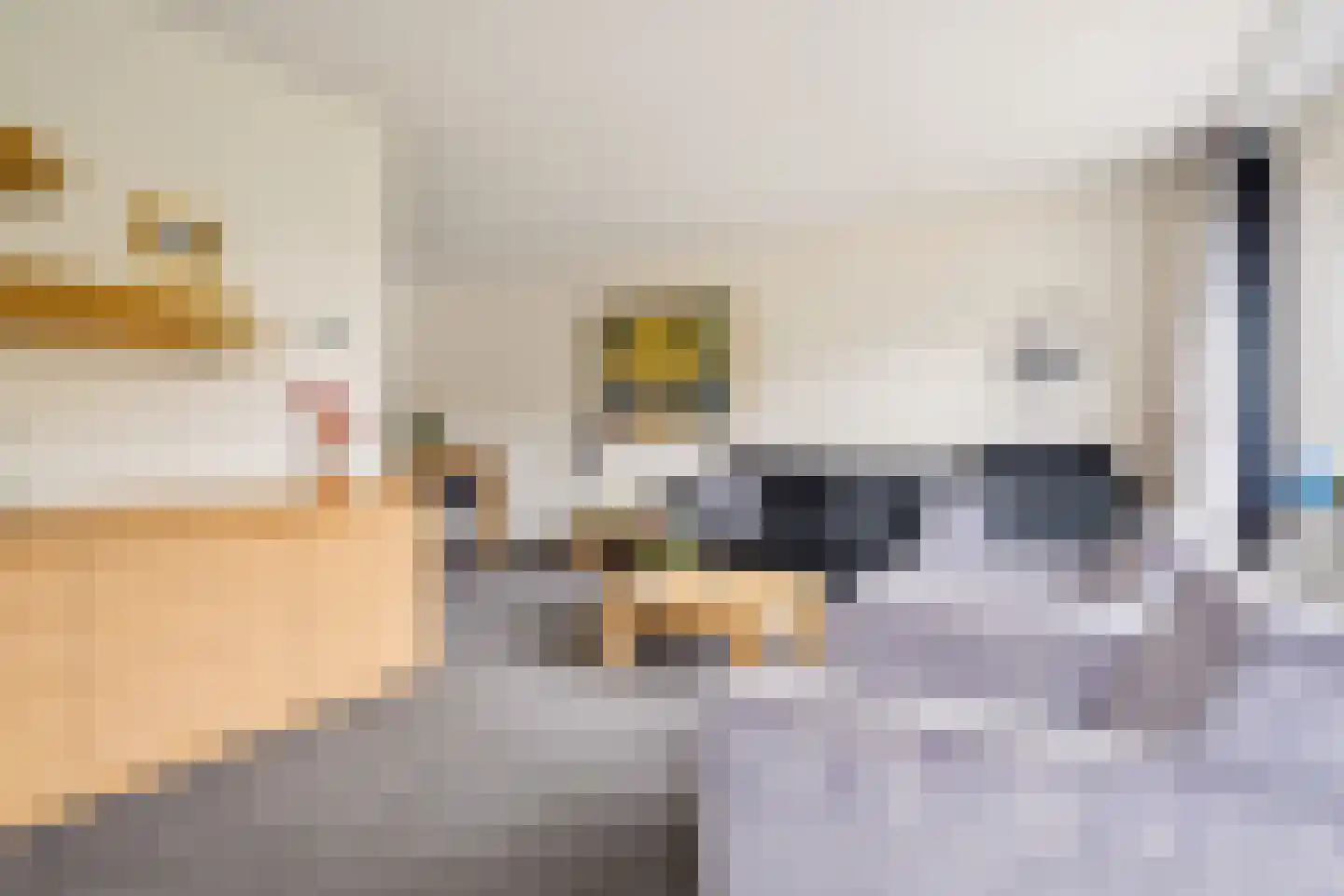 Nieuwlandsedreef 8 Amersfoort thumbnail 10