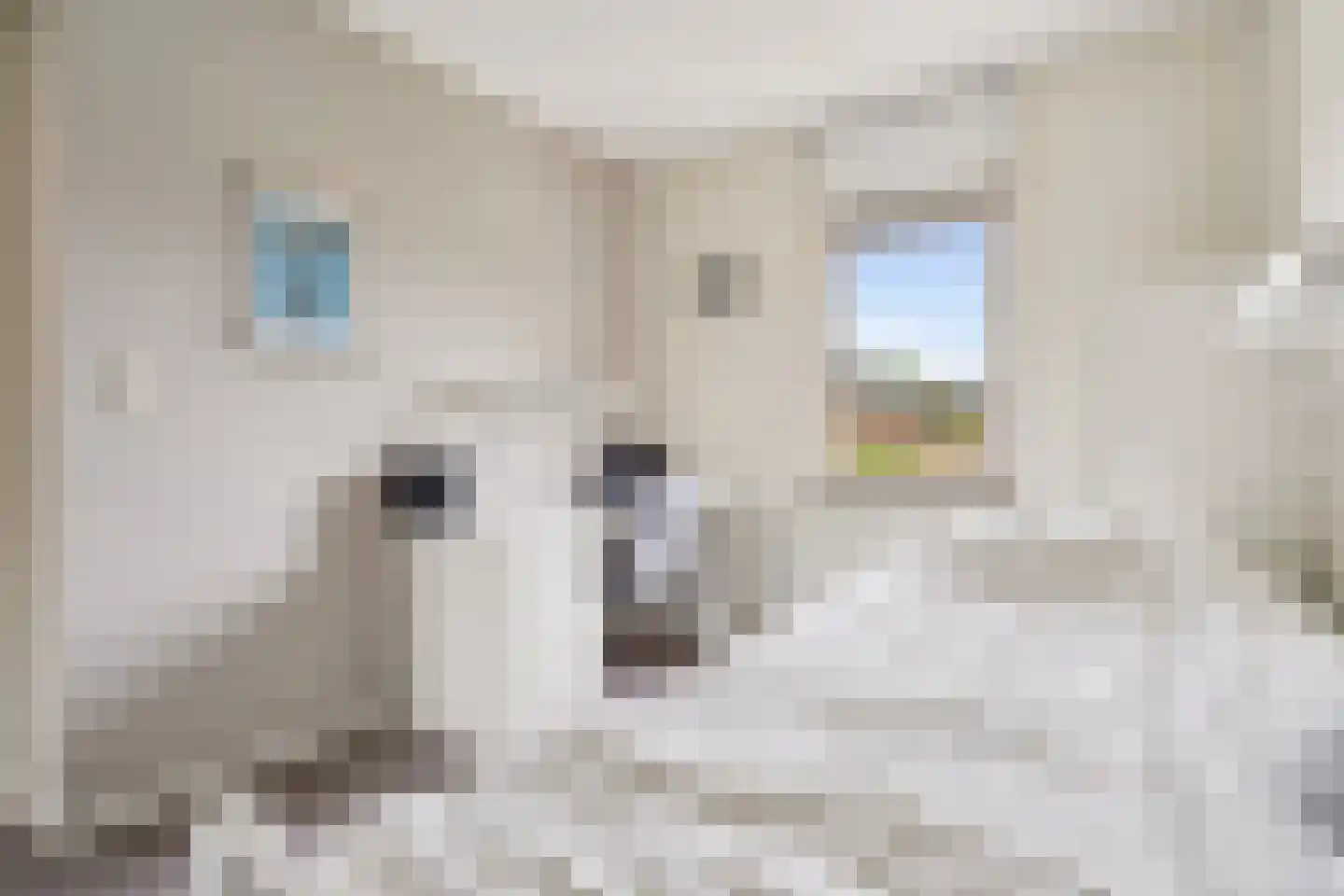 Nieuwlandsedreef 8 Amersfoort thumbnail 25
