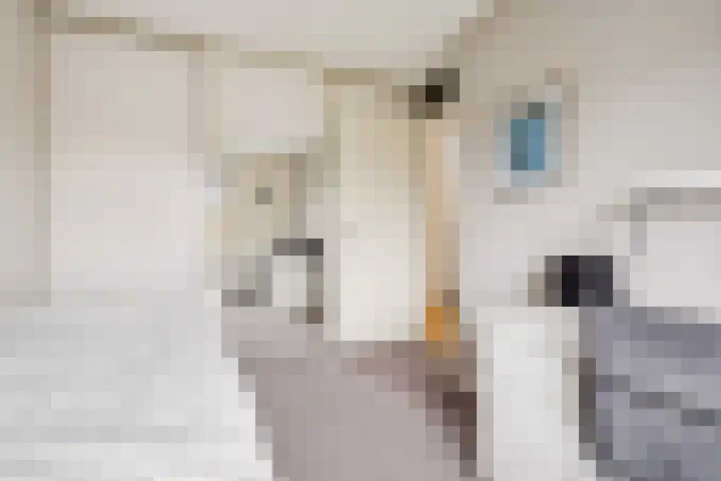 Nieuwlandsedreef 8 Amersfoort thumbnail 26