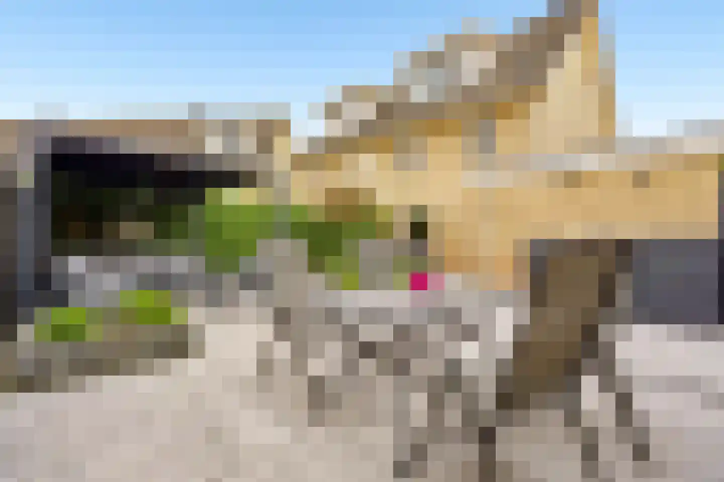 Nieuwlandsedreef 8 Amersfoort thumbnail 46