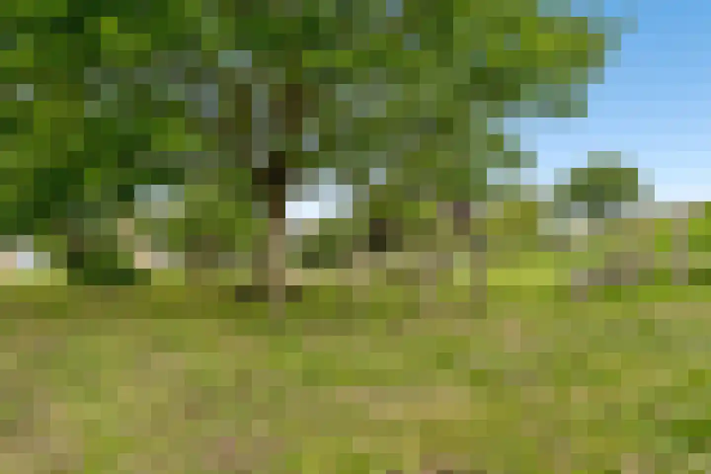 Nieuwlandsedreef 8 Amersfoort thumbnail 53