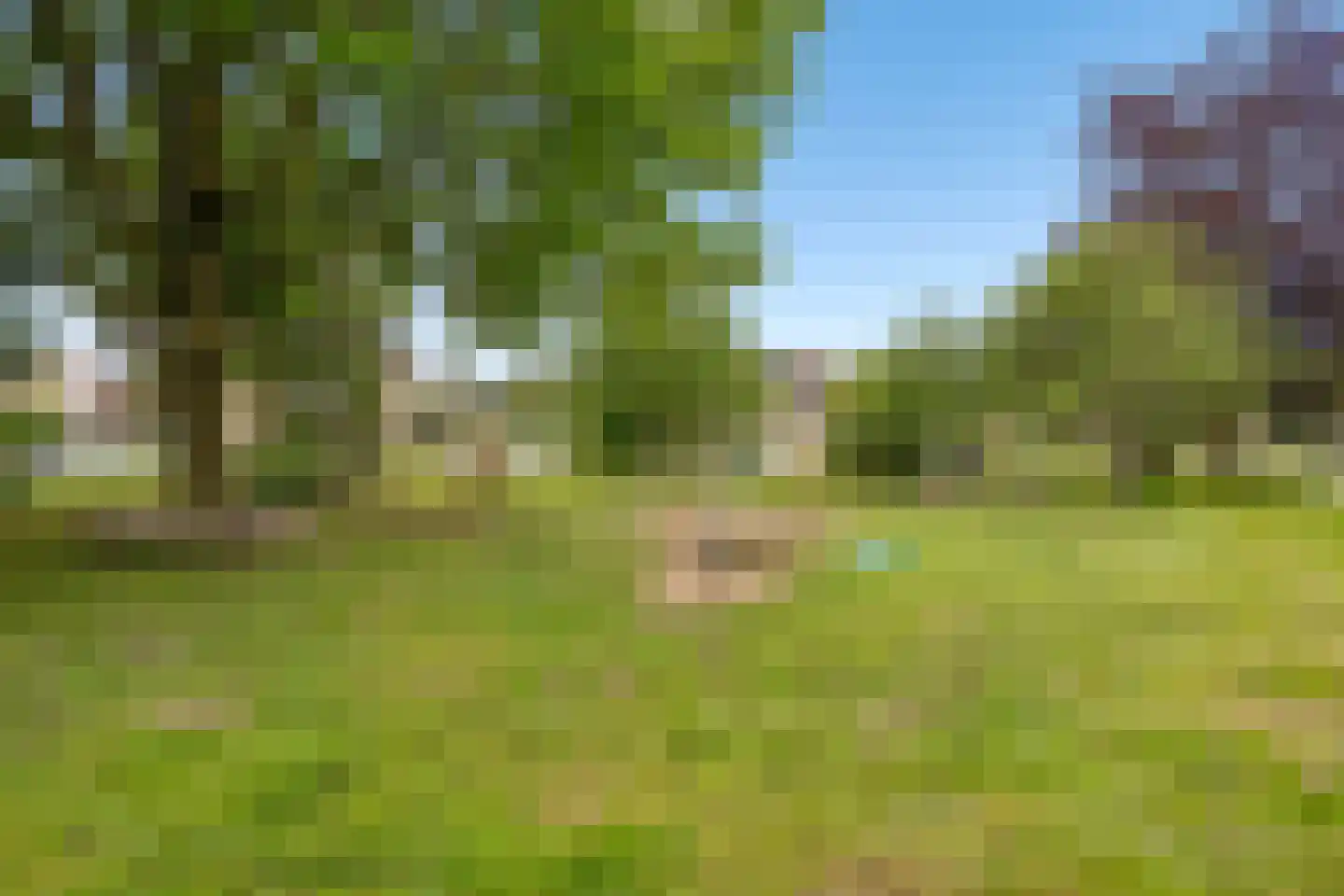 Nieuwlandsedreef 8 Amersfoort thumbnail 54