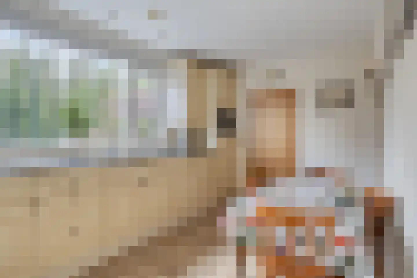 Nieuwlandsekade 1 a Ouderkerk aan den IJssel thumbnail 12