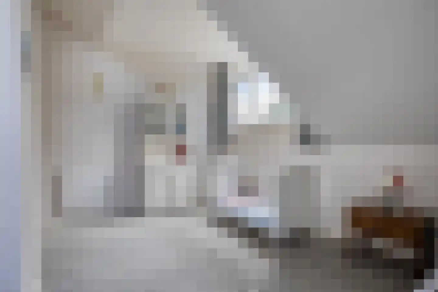 Nieuwlandsekade 1 a Ouderkerk aan den IJssel thumbnail 23