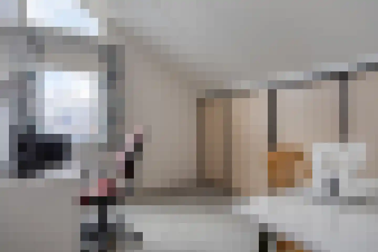 Nieuwlandsekade 1 a Ouderkerk aan den IJssel thumbnail 25