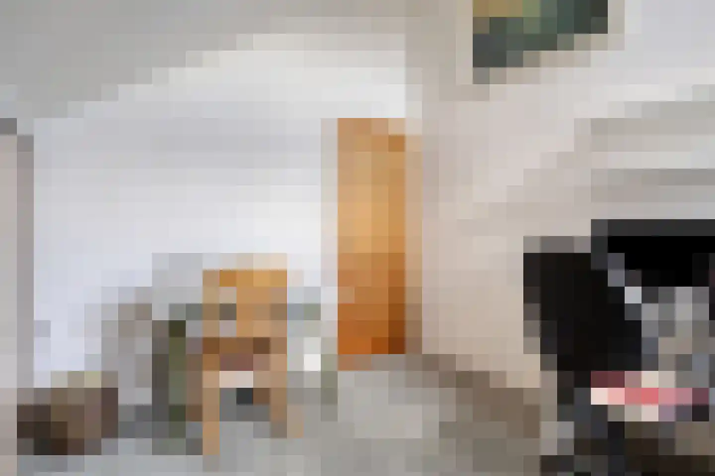 Nieuwlandsekade 1 a Ouderkerk aan den IJssel thumbnail 26
