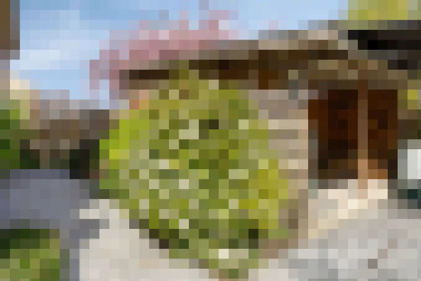 Nieuwlandsekade 1 a Ouderkerk aan den IJssel thumbnail 35