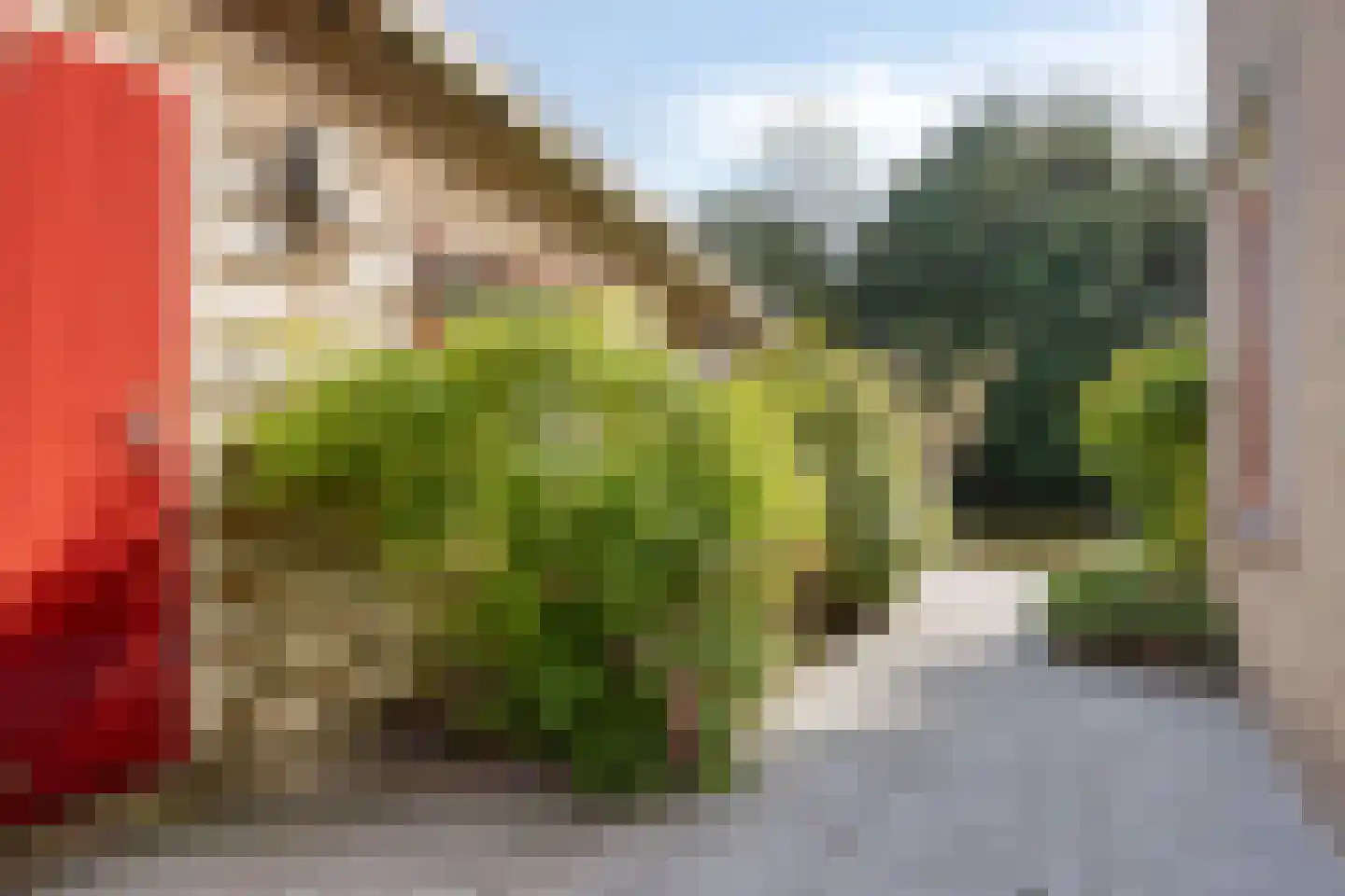 Nieuwlandsekade 1 a Ouderkerk aan den IJssel thumbnail 36