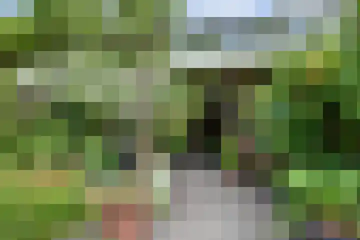 Nieuwlandseweg 12 Amersfoort thumbnail 23