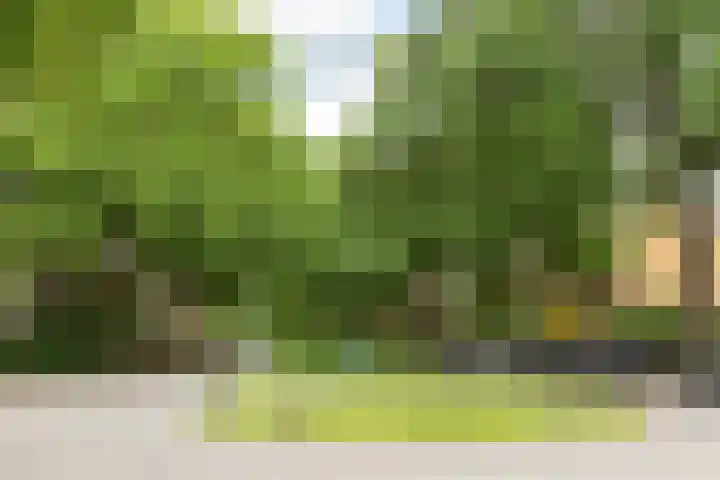 Nieuwlandseweg 14 Hilversum thumbnail 28