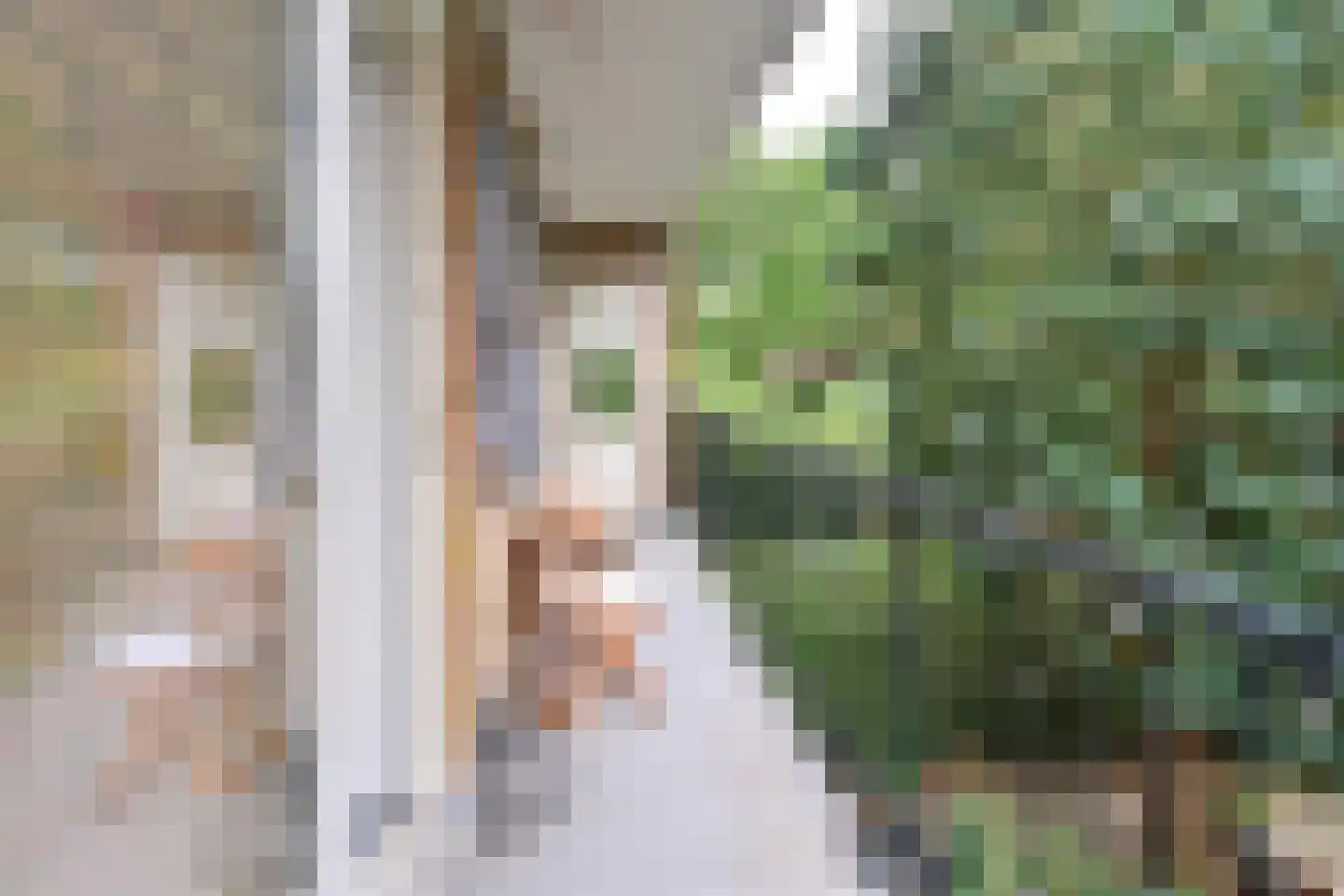 Nieuwlandseweg 15 Hilversum thumbnail 9