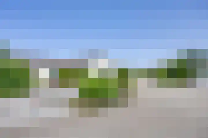 Nieuwlandseweg 160 Sint-Annaland thumbnail 5