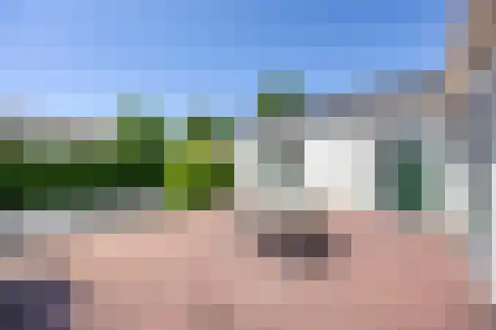 Nieuwlandseweg 160 Sint-Annaland thumbnail 8