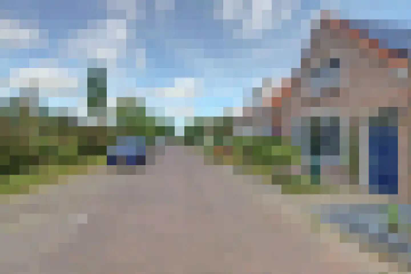 Nieuwlandseweg 17 Nieuw- en Sint Joosland foto 3