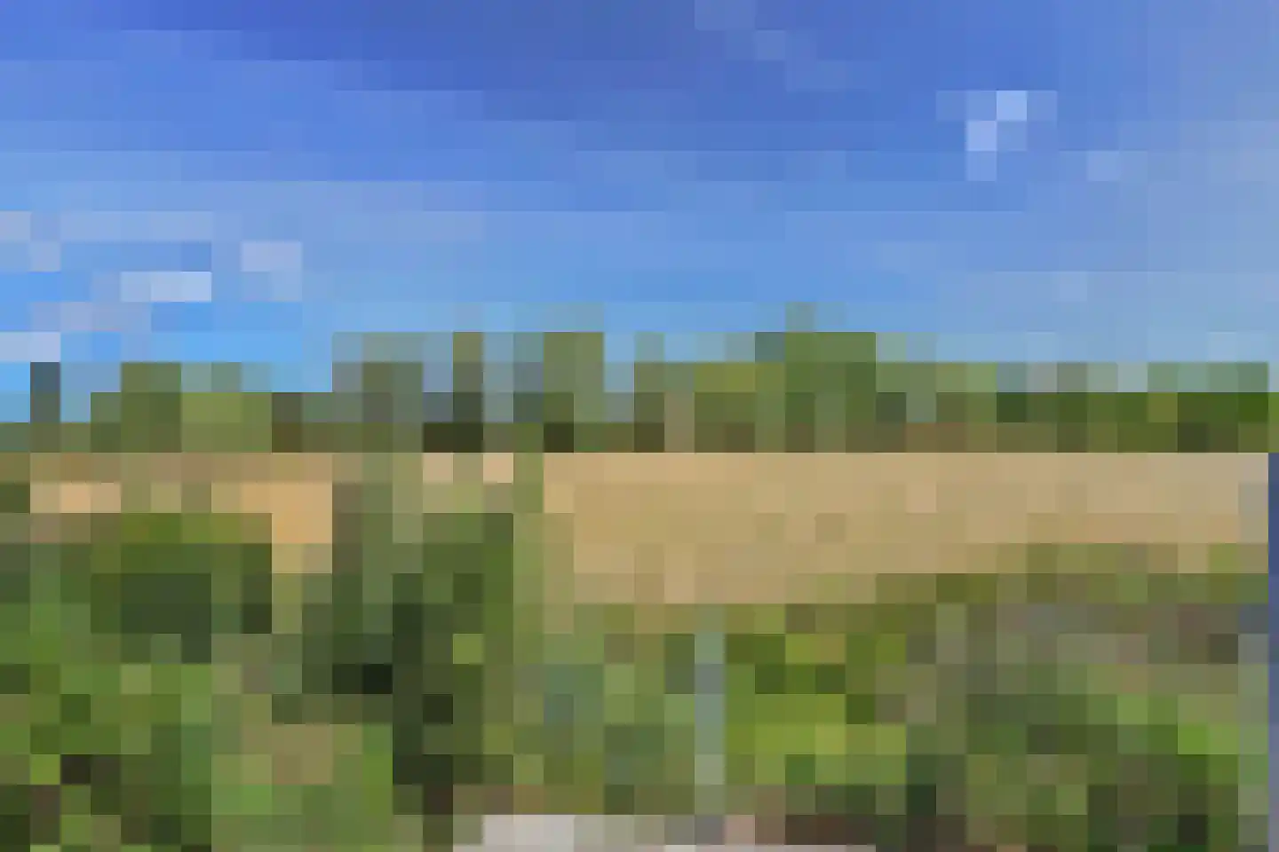Nieuwlandseweg 17 Nieuw- en Sint Joosland thumbnail 41