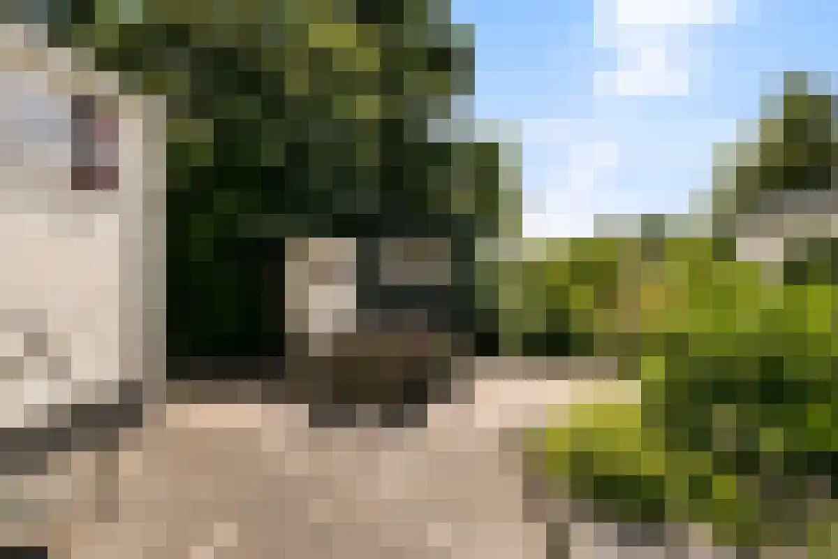 Nieuwlandseweg 176 Sint-Annaland thumbnail 18