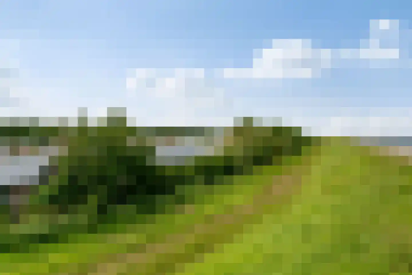 Nieuwlandseweg 176 Sint-Annaland thumbnail 22