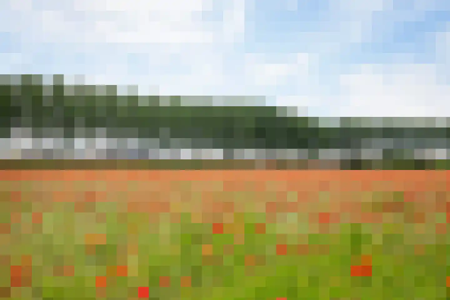 Nieuwlandseweg 176 Sint-Annaland thumbnail 25