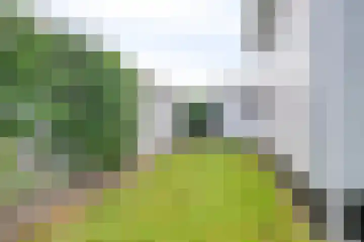 Nieuwlandseweg 26 Sint-Annaland thumbnail 36