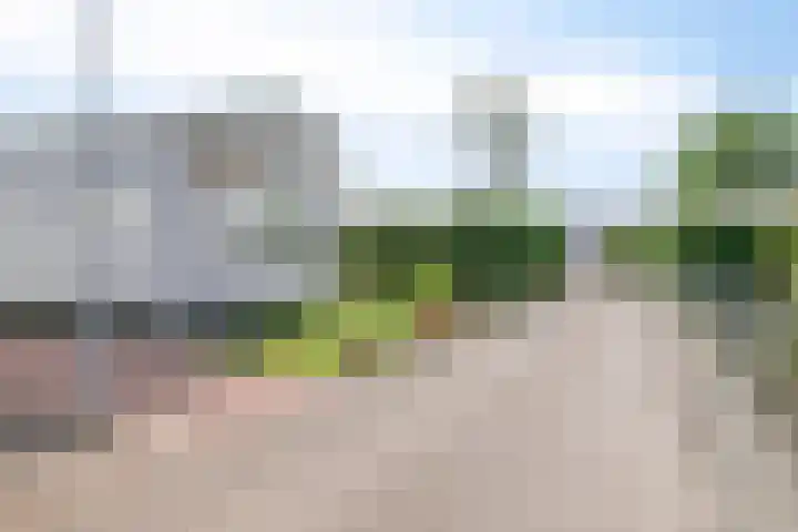 Nieuwlandseweg 26 Sint-Annaland thumbnail 37