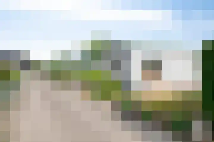 Nieuwlandseweg 26 Sint-Annaland thumbnail 38