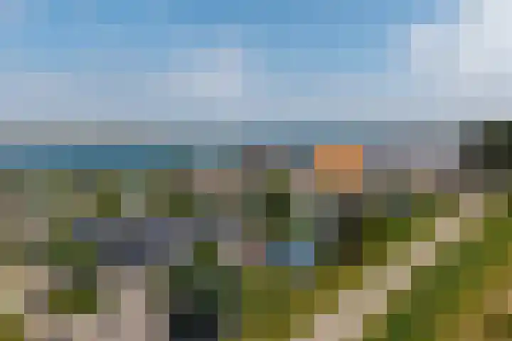 Nieuwlandseweg 26 Sint-Annaland thumbnail 5