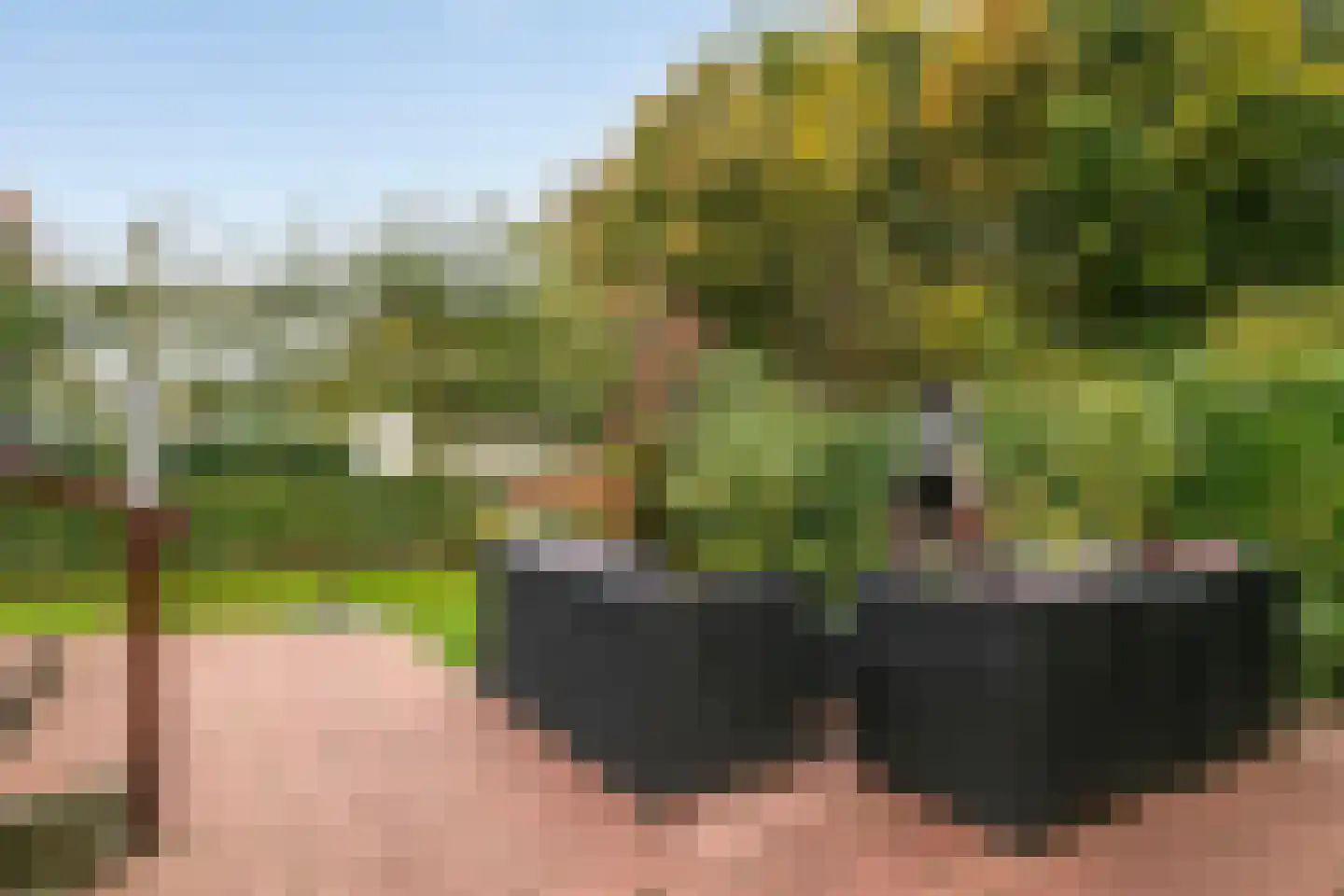 Nieuwlandseweg 264 Sint-Annaland thumbnail 33