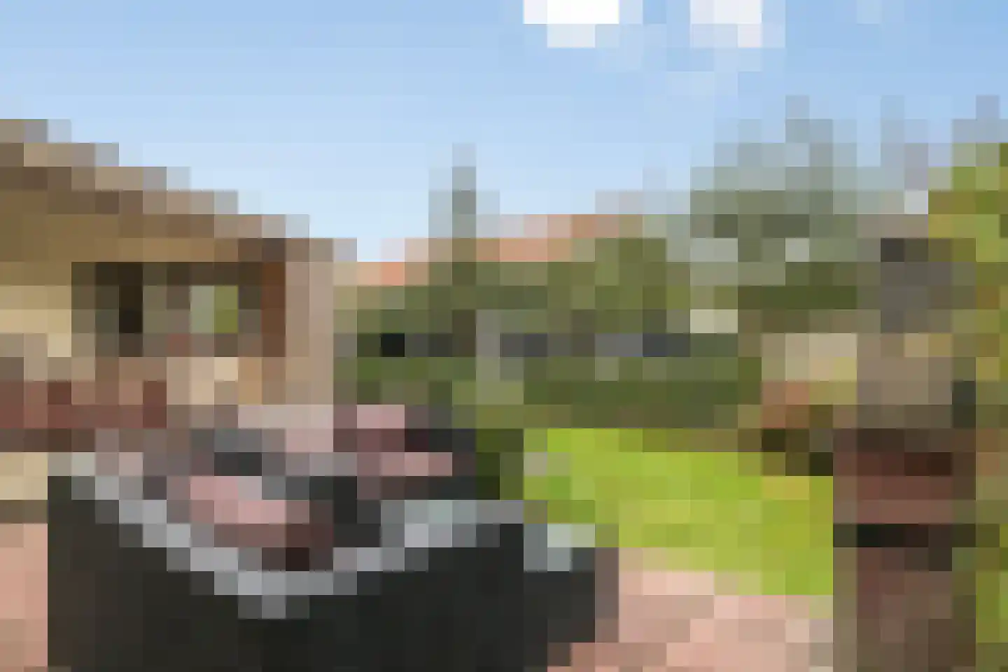 Nieuwlandseweg 264 Sint-Annaland thumbnail 34