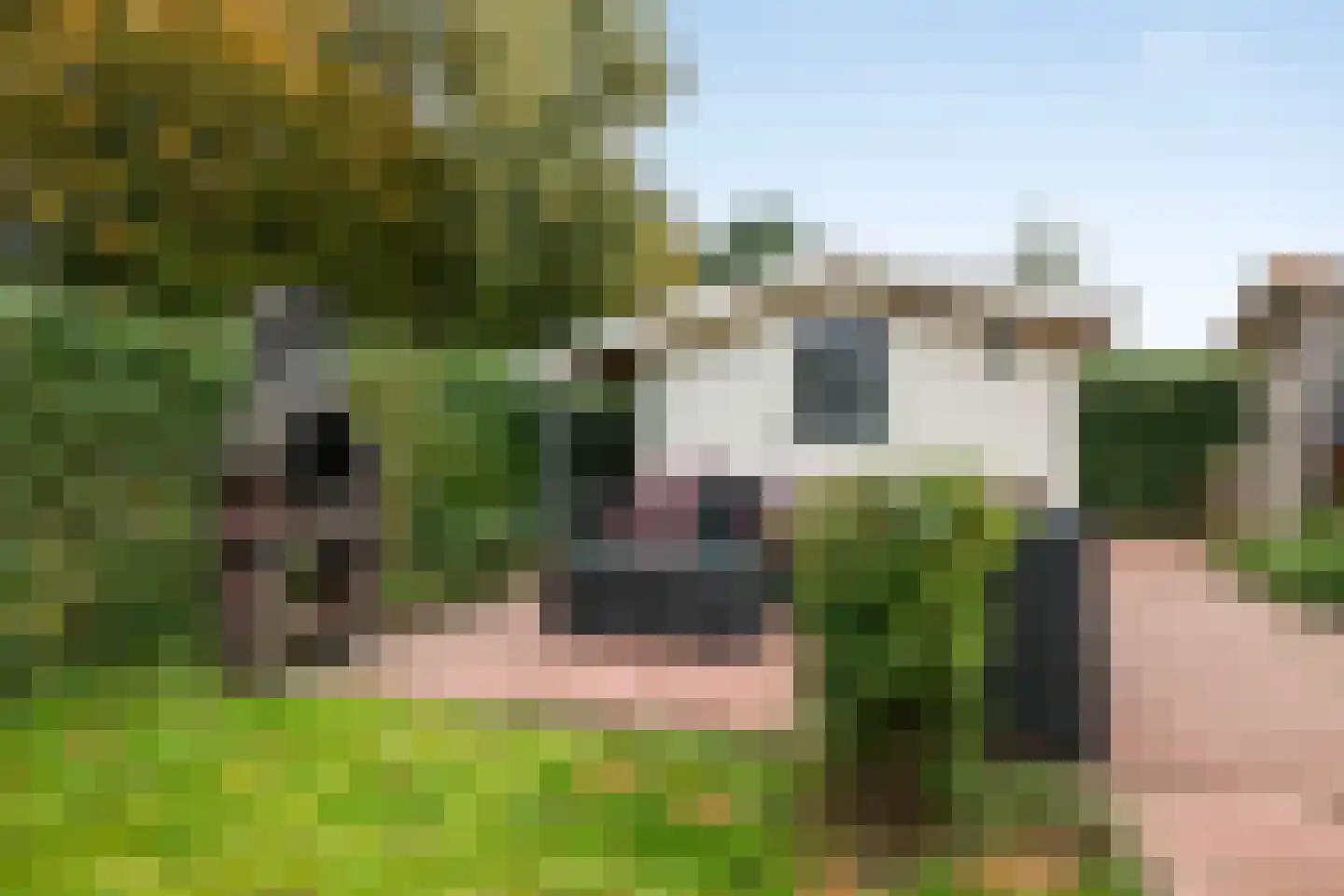 Nieuwlandseweg 264 Sint-Annaland thumbnail 36