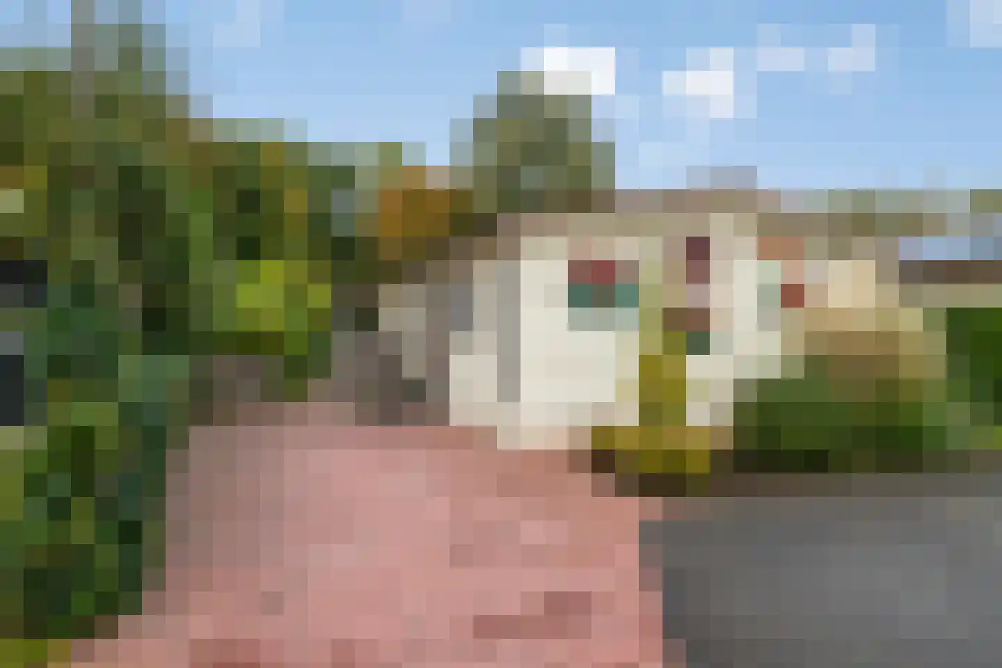 Nieuwlandseweg 264 Sint-Annaland thumbnail 4